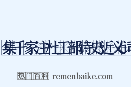 集千家注杜工部诗史近义词是什么意思的图片